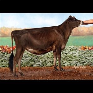 Meet your Posher, Olivia